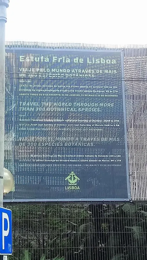 Alex Home Lisbon